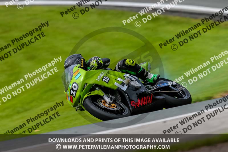 PJ Motorsport 2019;anglesey;brands hatch;cadwell park;croft;donington park;enduro digital images;event digital images;eventdigitalimages;mallory;no limits;oulton park;peter wileman photography;racing digital images;silverstone;snetterton;trackday digital images;trackday photos;vmcc banbury run;welsh 2 day enduro